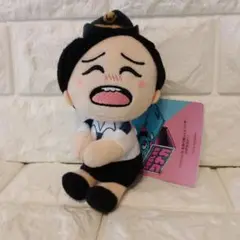 呼び出し先生タナカ　くっつき　ミニぬいぐるみ　やすこ