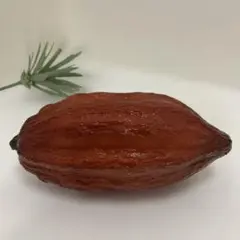 カカオの実　置物　インテリア　カフェ　ソフトビニール装飾