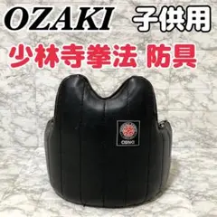 少林寺拳法　道具袋　ジュニア胴　一般胴セット 少林寺拳法 道具袋 ジュニア胴 一般胴セット