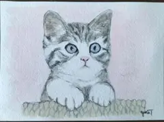 水彩画 猫の絵　2Lサイズ