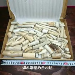 Item thumbnail for item c2497ce0-5896-4820-b386-440219994b72