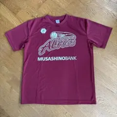 KOSHIGAYA ALPHAS Tシャツ