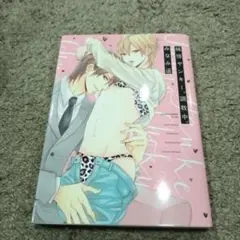 純情ヤンキー、調教中。