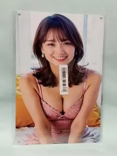 ブリキ看板◆井上清華 メタルプレート/魅惑のフォト フジテレビ女子アナ