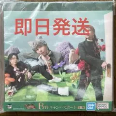 一番くじ Mrs. GREEN APPLE B賞 キャンバスボード