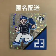 日本ハムファイターズ超お菓子祭り　ステッカー　23 伏見寅威選手