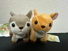 鹿の森のポッチ　かのこ＆えぞりん　ぬいぐるみマスコット　2点セット