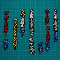 オスナ 応援歌 白赤青金/黒 刺繍 ワッペン ヤクルトスワローズ