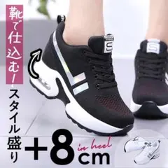 Item thumbnail for item 4d502f50-cf4b-4332-8871-7de7a6aa520f