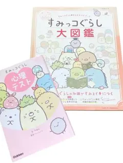極美品すみっコぐらし心理テストすみっコぐらし大図鑑2冊セット