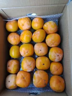 干し柿用、平柿、無農薬、渋、箱込10Kg