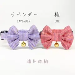 Item thumbnail for item abf81d4a-cc45-43d1-a606-e014c6692c1f