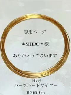 Item thumbnail for item b4d6dbee-43e6-4071-8d8e-9d177a196043