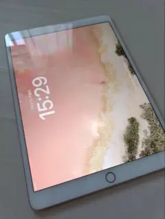 Apple iPad Pro 10.5インチ【箱無し】