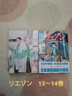 リエゾン　ヨンチャン　13〜14巻　２冊セット