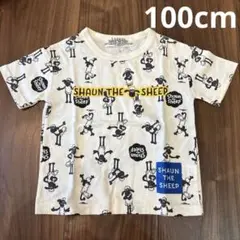 新品　ひつじのショーン　Tシャツ　100cm