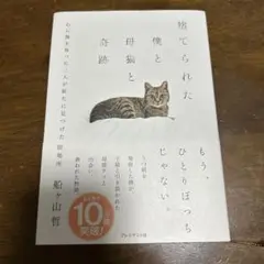 捨てられた僕と母猫と奇跡