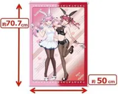 新品　【モーリーオンライン限定】ホロライブ　タペストリー　宝鐘マリン 2025年最新】モーリーオンライン 宝鐘マリンの人気アイテム