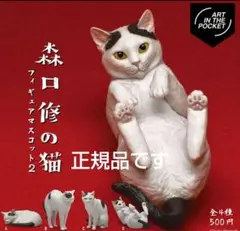 Item thumbnail for item 7738afe5-4257-4ef3-8947-43821958c660