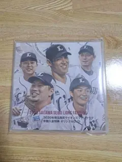 埼玉西武ライオンズ ファンクラブ特典DVD2枚セット