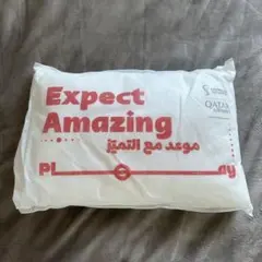 ワールドカップQatar Airway Expect Amazing クッション