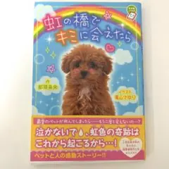 虹の橋でキミに会えたら