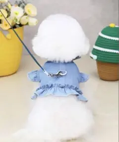 Item thumbnail for item 504f78a3-0242-445e-ad60-5221455701b1