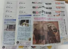 朝日小学生新聞