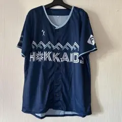 北海道日本ハムファイターズ・ユニホーム