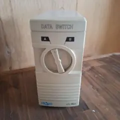 Item thumbnail for item 8f1cabbf-a71e-419d-bc4c-6087fdc0248b