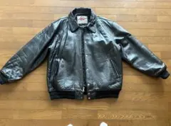 Item thumbnail for item 66f66bb9-bebd-468c-9140-3749ffa6b83e
