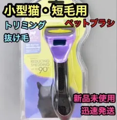 Item thumbnail for item 480951f6-4bd2-4b4c-9f9f-8d9d94a026bb