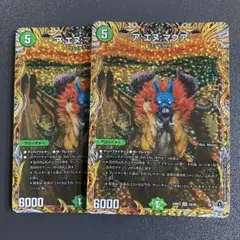 アエヌマクア a 2枚