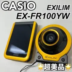Item thumbnail for item b85cc717-8d6b-4df9-b544-9fc8c9fa8fc8