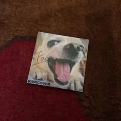 RAINCOVER "face" シングル CD 廃盤