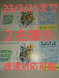 最新です【 2枚 】三井グリーンランド 株主優待券 入場券 入園券 2枚です