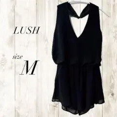 Item thumbnail for item 74063106-8024-491b-ac8f-91b12aa0ef2a