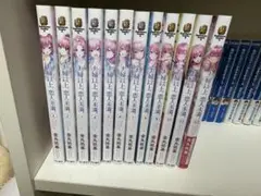 夫婦以上、恋人未満。完全版 1-12巻セット