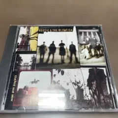 Hootie & The Blowfish Cracked Rear View