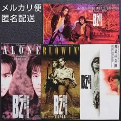 Item thumbnail for item 1c958768-b690-4d37-be57-e8537fe86c7c