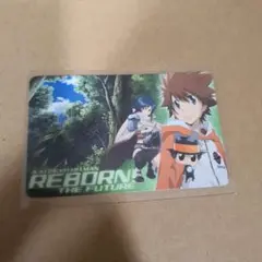 家庭教師ヒットマンREBORN！　未来編DVDミニカード　非売品