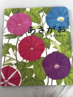 あさがお