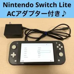 Nintendo Switch Lite グレー　本体 ACアダプター付き
