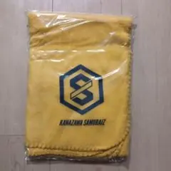 Item thumbnail for item 3497e037-958a-400c-b8e9-4903c0b1cd62