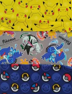 ポケモン(3b)