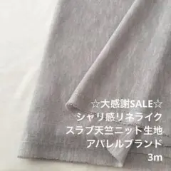 A6X/6982◆2m 感謝祭/ポリ系スラブ天竺ニット生地/アパレル