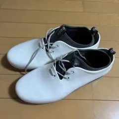 Item thumbnail for item 63551bf9-1f60-489d-8a37-15114a243a9e