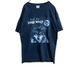フルーツオブザルーム　メンズTシャツ　黒　Mサイズ　クルーネック【2801】