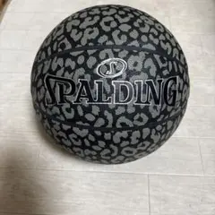 SPALDING ヒョウ柄 バスケットボール 77-99M