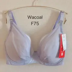 Item thumbnail for item 647c3948-b6c9-4239-b198-1edec6642895